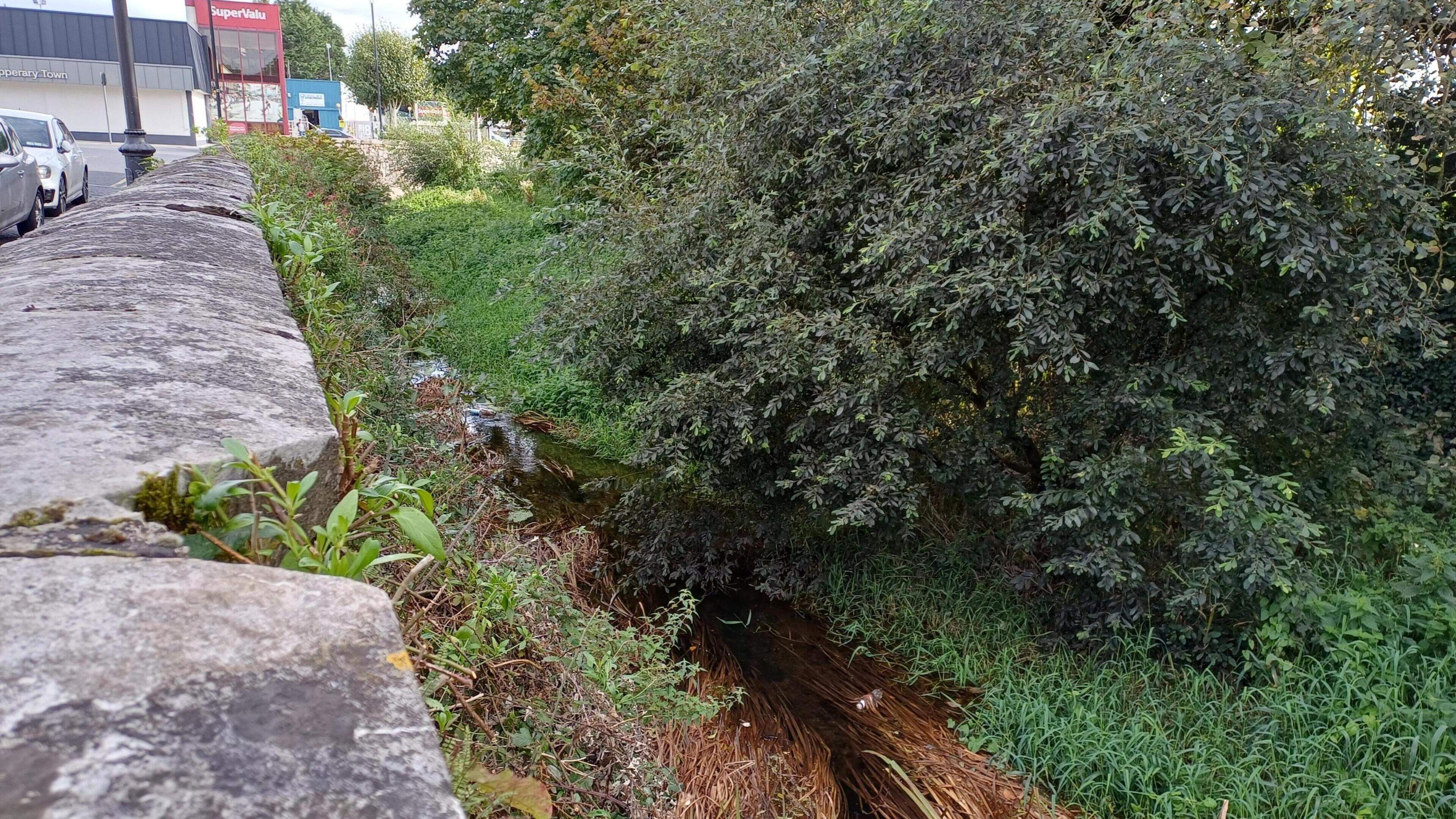 River that gives Tipperary its name is in ‘deplorable’ state, councillor says